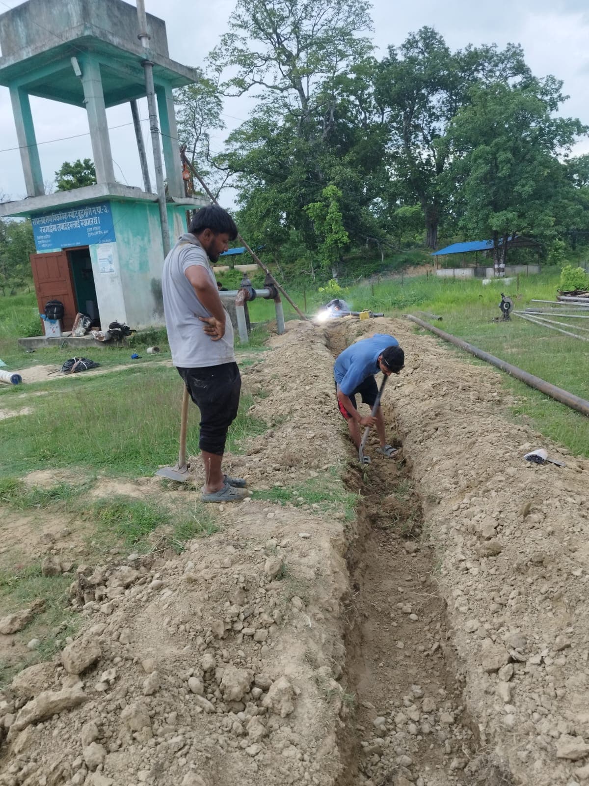 Lakai Electric Project 12